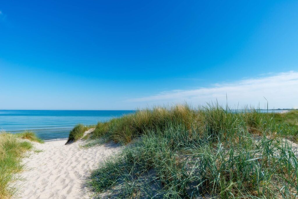 Ostseestrand mit Dünen bei Dierhagen