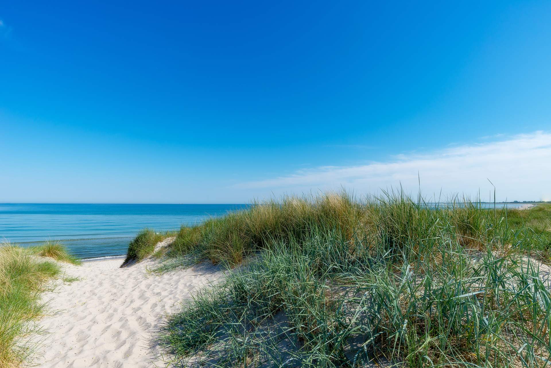 Ostseestrand mit Dünen bei Dierhagen